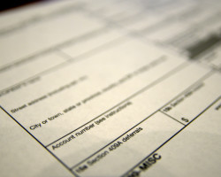 How an accountant in Coral Springs can help your Business?